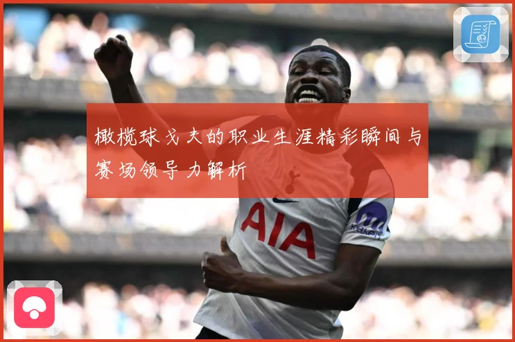 橄榄球戈夫的职业生涯精彩瞬间与赛场领导力解析