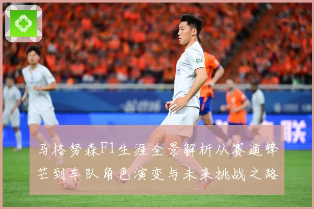 马格努森F1生涯全景解析从赛道锋芒到车队角色演变与未来挑战之路