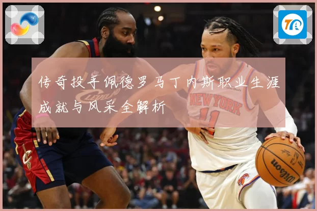 传奇投手佩德罗马丁内斯职业生涯成就与风采全解析