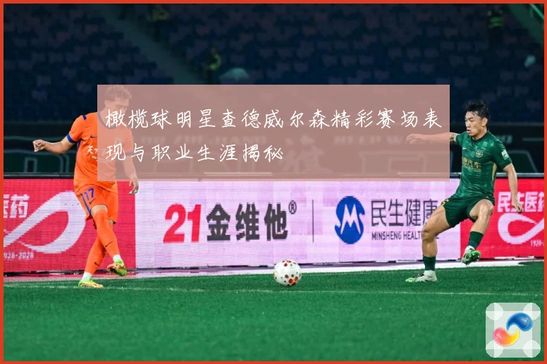 橄榄球明星查德威尔森精彩赛场表现与职业生涯揭秘