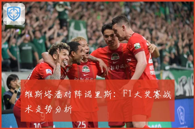 维斯塔潘对阵诺里斯：F1大奖赛战术走势分析