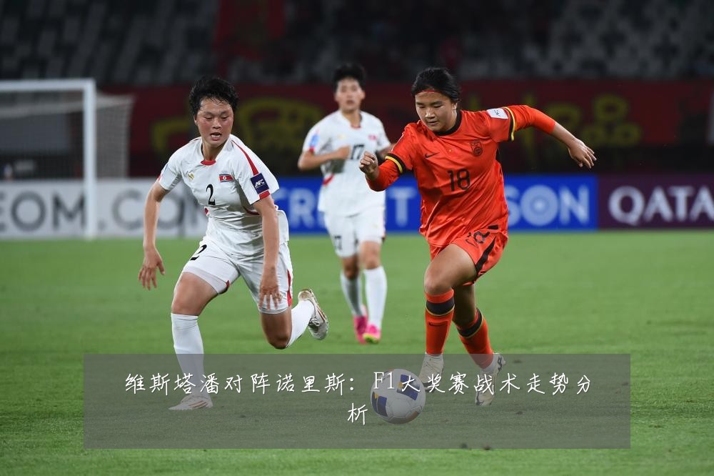 维斯塔潘对阵诺里斯:F1大奖赛战术走势分析